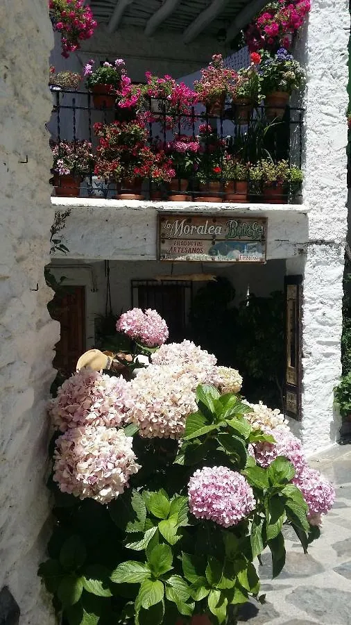 Casa Nicolasa Capileira